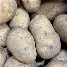 Everyday Potatoes (loose per 1kg)