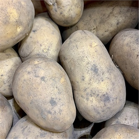 456124 - Everyday Potatoes (Loose per 1kg).jpg